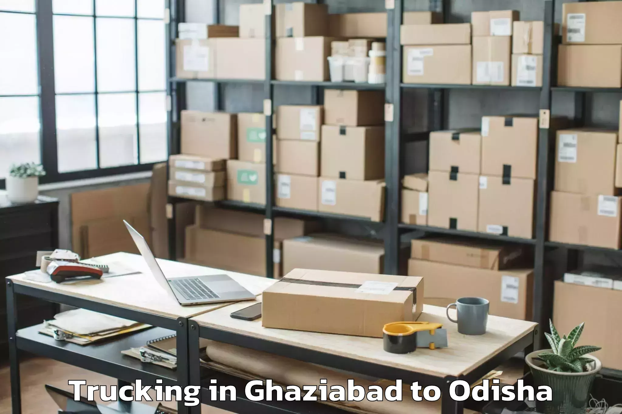 Professional Ghaziabad to Delang Trucking